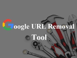 آموزش حذف صفحات ایندکس شده در گوگل | آموزش کار با remove URLs