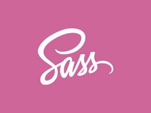 SASS چیست؟ آموزش کامل پلتفرم SASS 