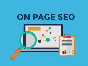 سئو داخلی (On-Page SEO) چیست و شامل چه مواردی می شود؟